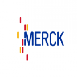 Chromolith 整體柱